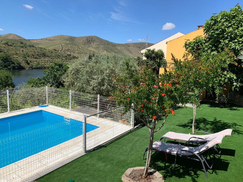 un giardino con albero e una piscina di Quinta Da Ponte a Barca dʼAlva