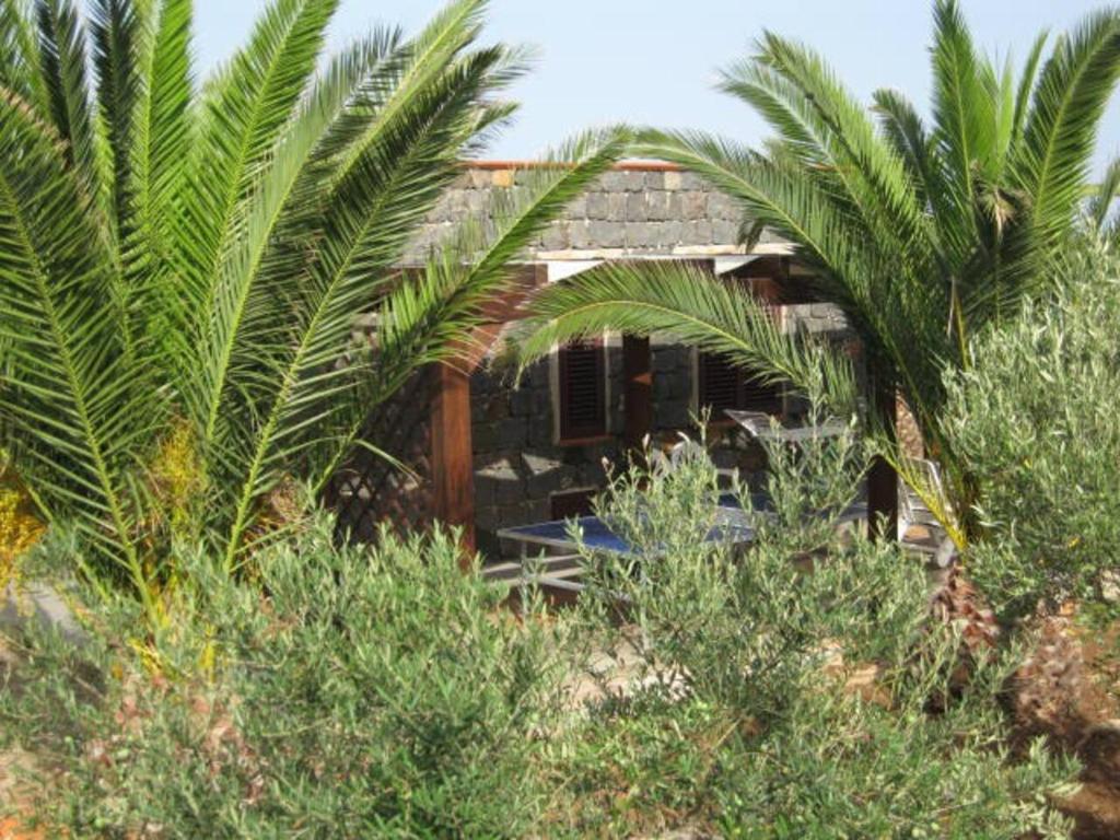 una casa con palme di fronte di casa delle palme a Ustica