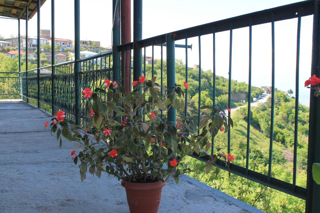 Zahrada ubytování Guest House Shota