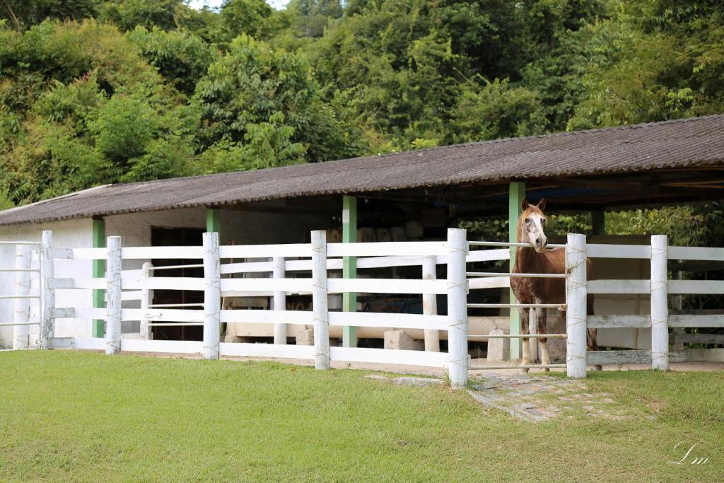  Hotel Fazenda Alamo