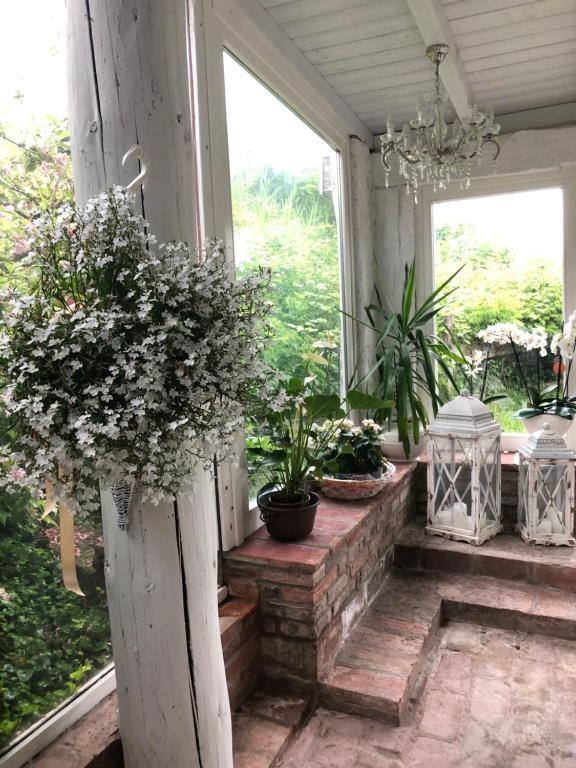 Zahrada ubytování Villa Camilla