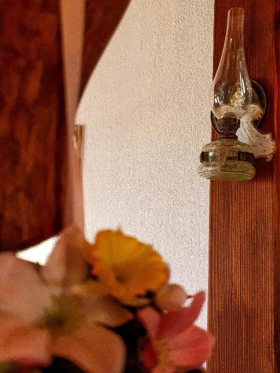 Apartment Franciska - 3