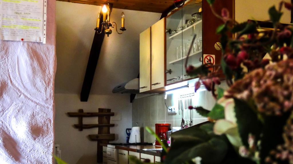 Apartment Franciska - 1