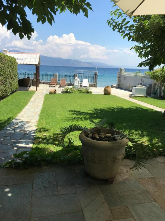 roślina doniczkowa siedząca na patio przy oceanie w obiekcie Private luxury villa My Beach House w mieście Longos