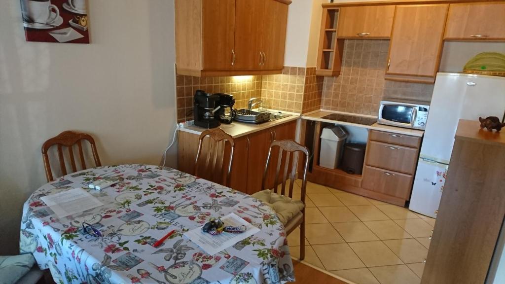 Kuchyňa alebo kuchynka v ubytovaní Villa Palazzo Apartments