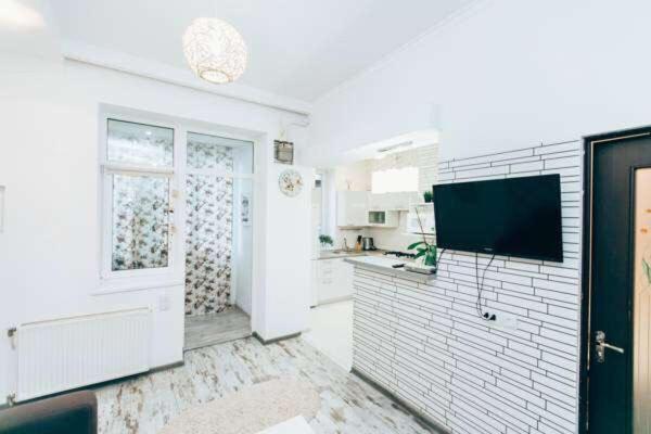 Kuchyň nebo kuchyňský kout v ubytování Apartments in Uzhgorod