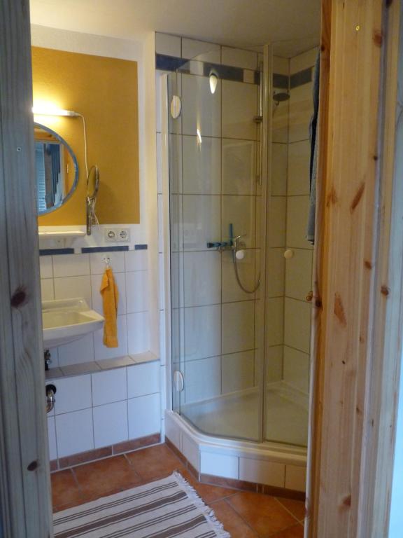 ein Bad mit einer Dusche und einem Waschbecken in der Unterkunft Gartenhaus-Stadt-Idylle in Radebeul