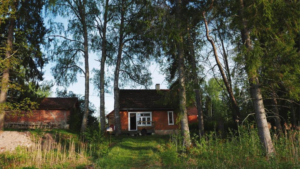 mały dom w środku lasu w obiekcie Allika-Löövi Sauna Cabin w mieście Suure-Jaani