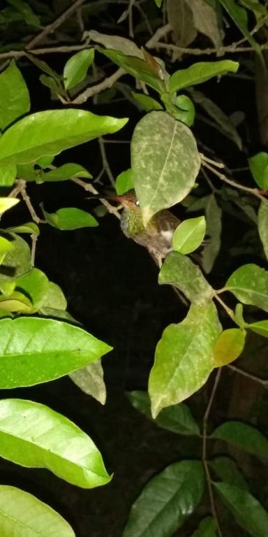 Zahrada ubytování Posada El Acuario