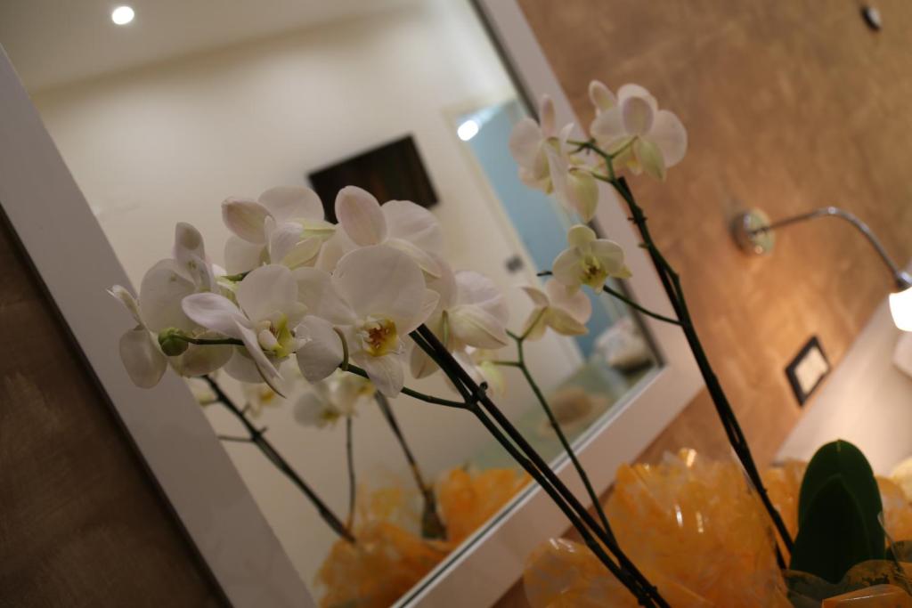 Fotografie z fotogalerie ubytování Hotel Ambrosiana v destinaci Misano Adriatico