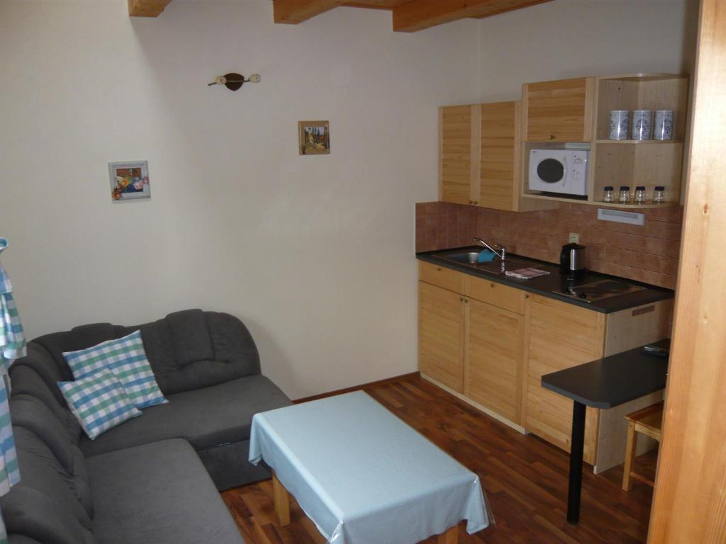 Kuchyň nebo kuchyňský kout v ubytování Penzion U Lišky