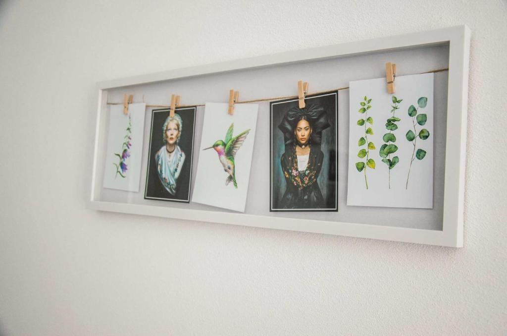 Fotografie z fotogalerie ubytování BikeHikeSleep Apartments v destinaci Sasbachwalden