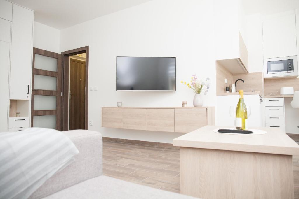TV a/nebo společenská místnost v ubytování Apartmán Horní Mísečky J4