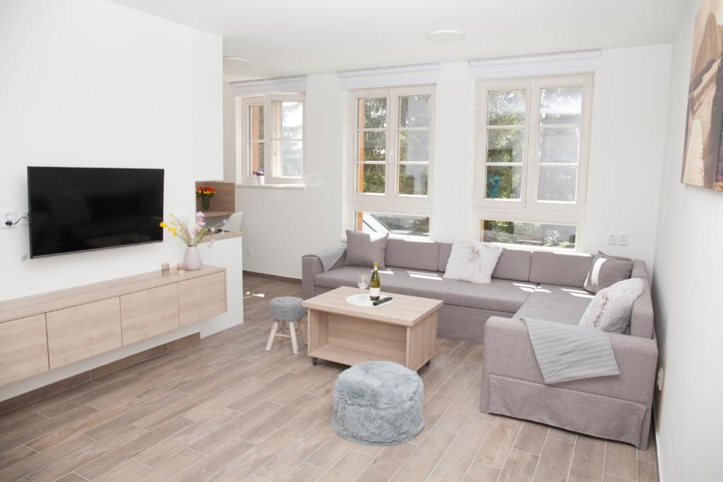 TV a/nebo společenská místnost v ubytování Apartmán Horní Mísečky J4