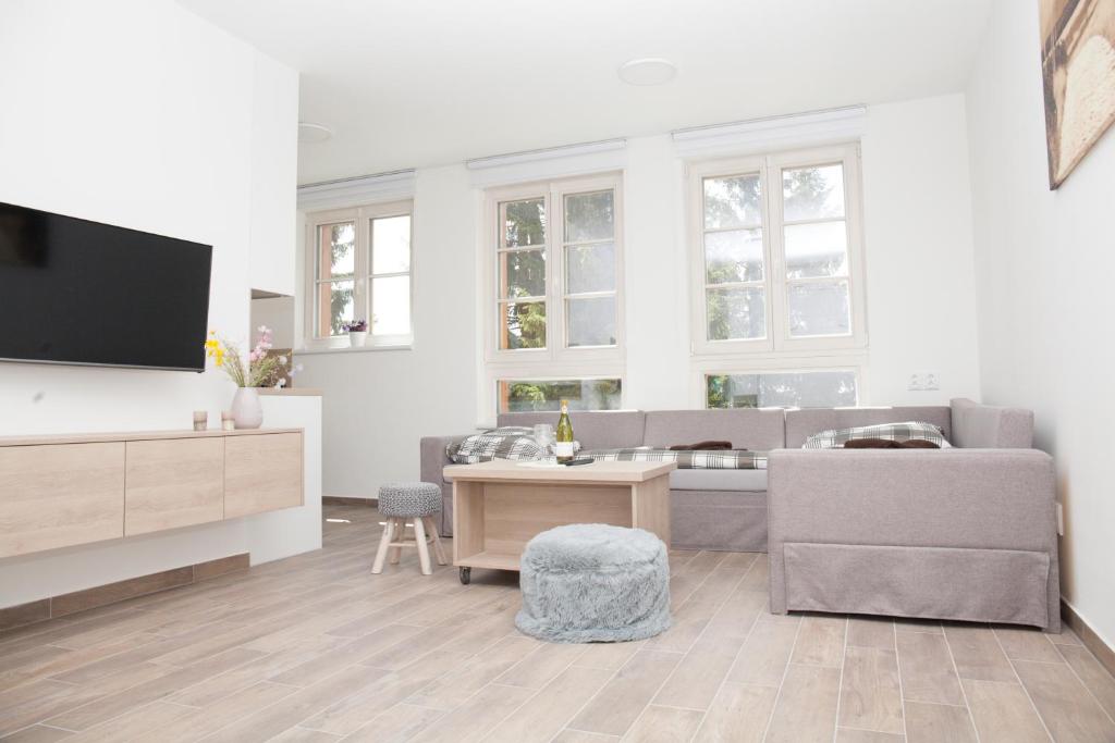 TV a/nebo společenská místnost v ubytování Apartmán Horní Mísečky J4