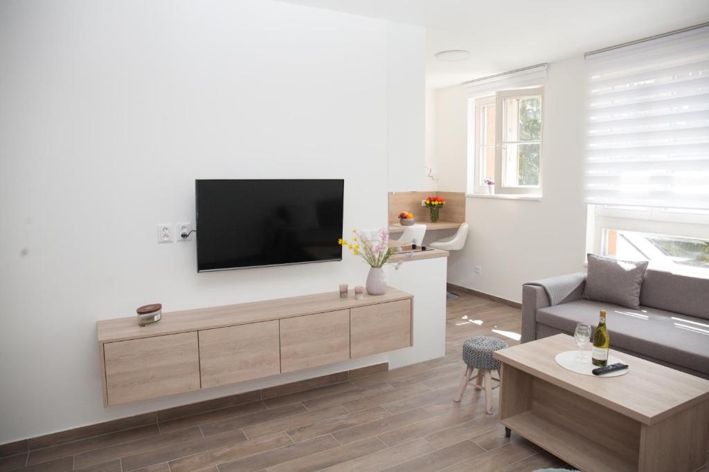 TV a/nebo společenská místnost v ubytování Apartmán Horní Mísečky J4