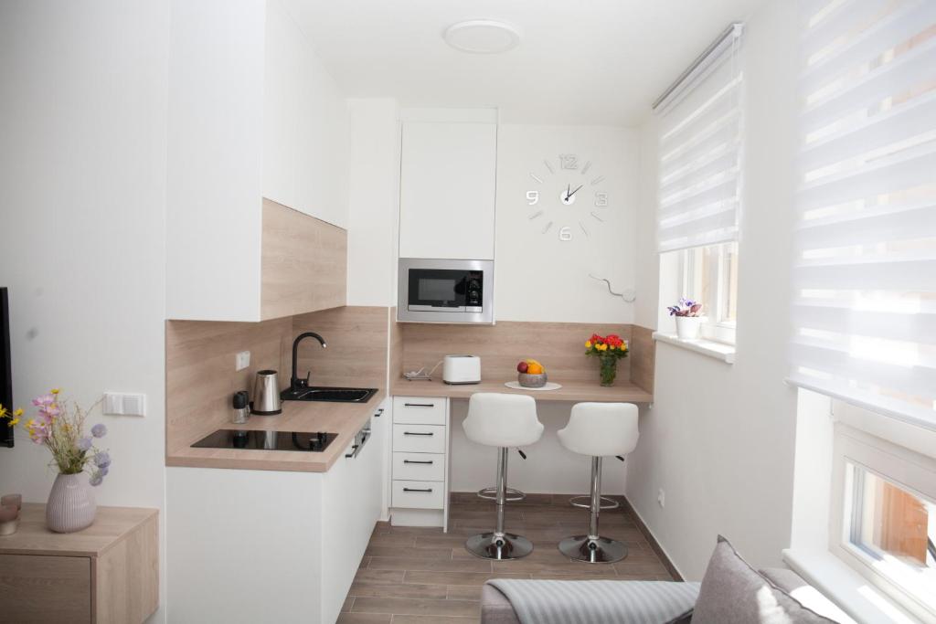 Kuchyň nebo kuchyňský kout v ubytování Apartmán Horní Mísečky J4