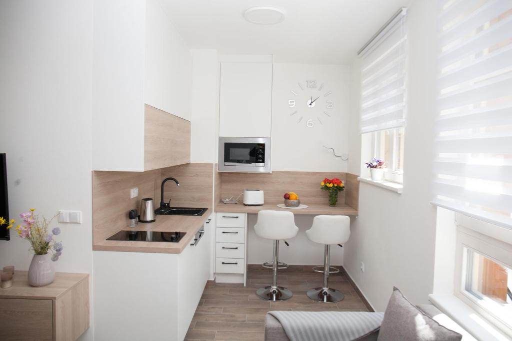 Kuchyň nebo kuchyňský kout v ubytování Apartmán Horní Mísečky J4