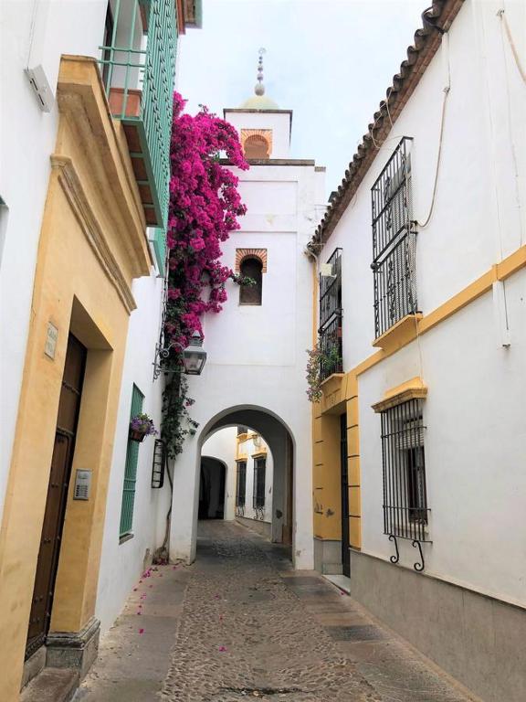 Entre 2 Mezquitas, Córdoba – Bijgewerkte prijzen 2022