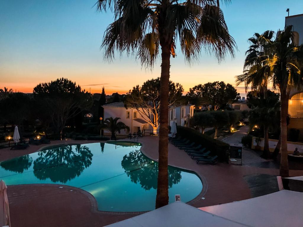 a view of a pool with a palm tree at Vale d'El Rei Hotel & Villas in Carvoeiro