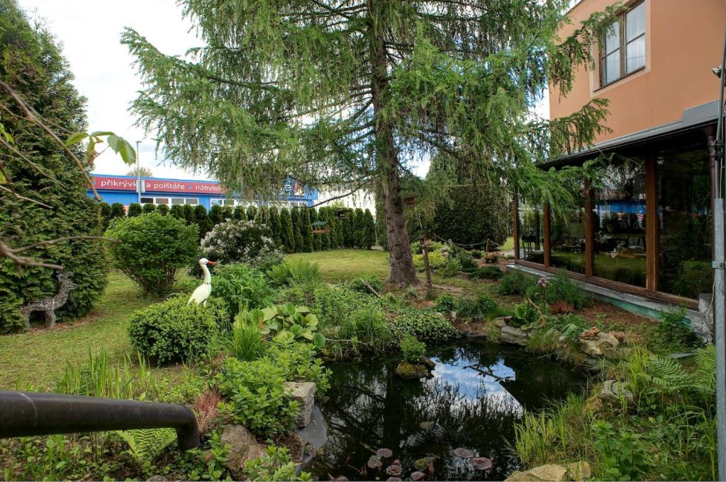 Zahrada ubytování Pension Pegast
