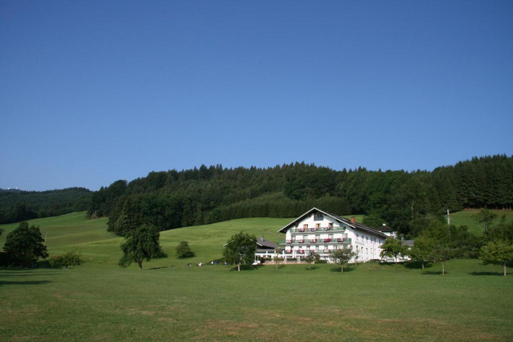Příroda nedaleko hotelu