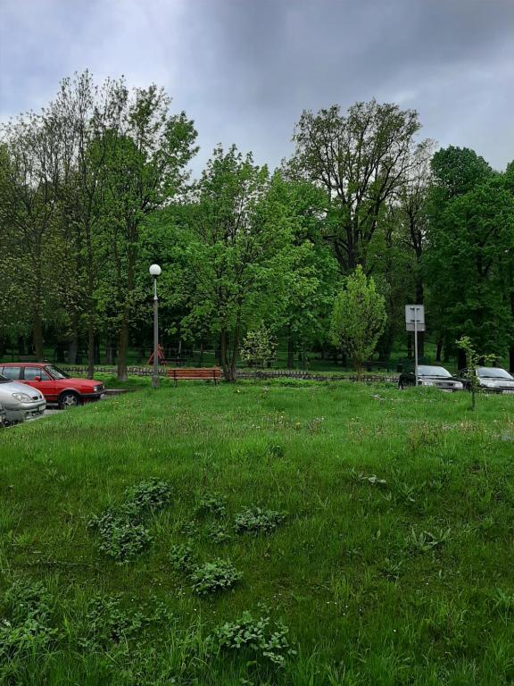 Fotografia z galérie ubytovania Apartament Piastowska v destinácii Kamienna Góra