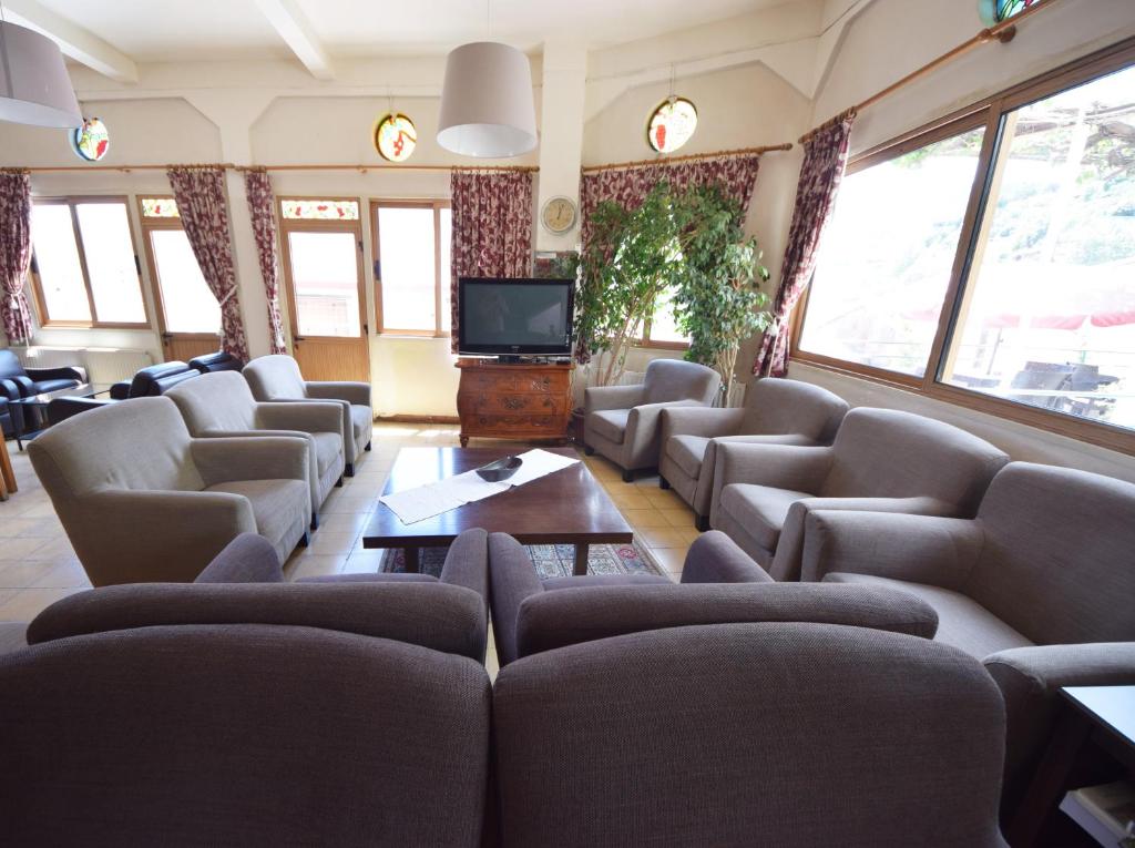 a living room with couches and a flat screen tv at Christys Palace Hotel in Pedoulas