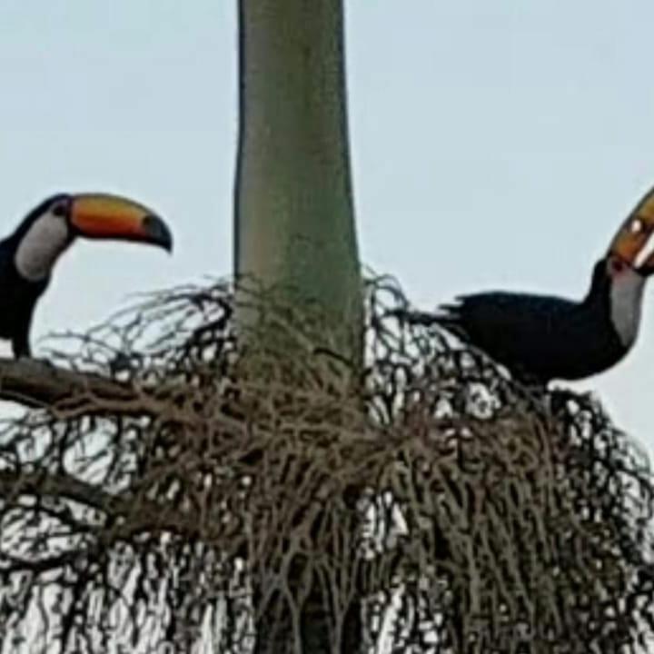  Pousada Conquista do Paraíso