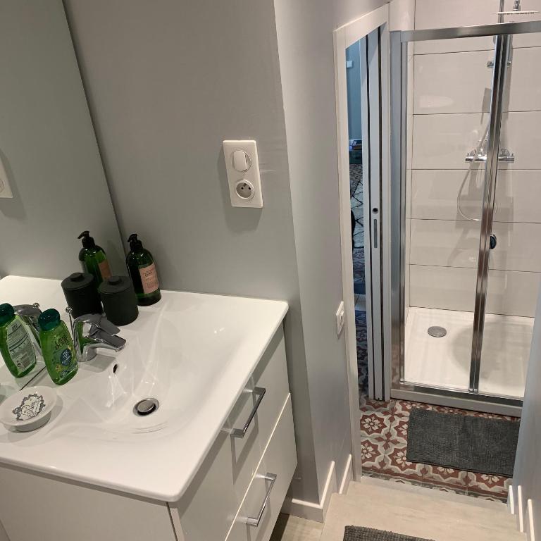 a bathroom with a white sink and a shower at Suite&amp;Caux 1 in Cany-Barville