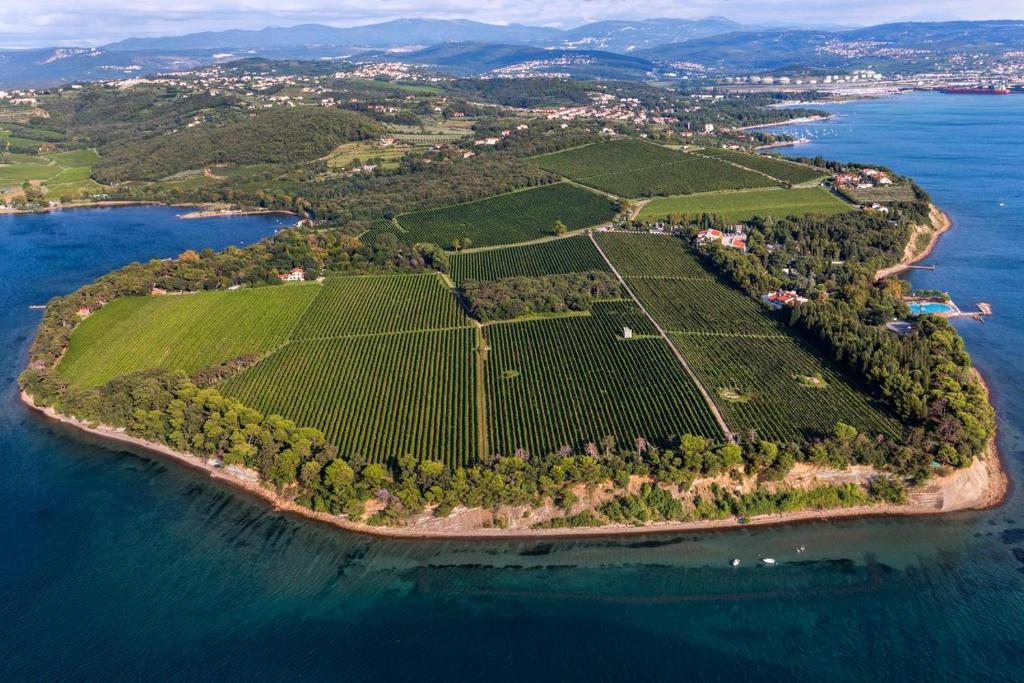 una isla en el océano con un montón de viñedos en Country house, en Ankaran