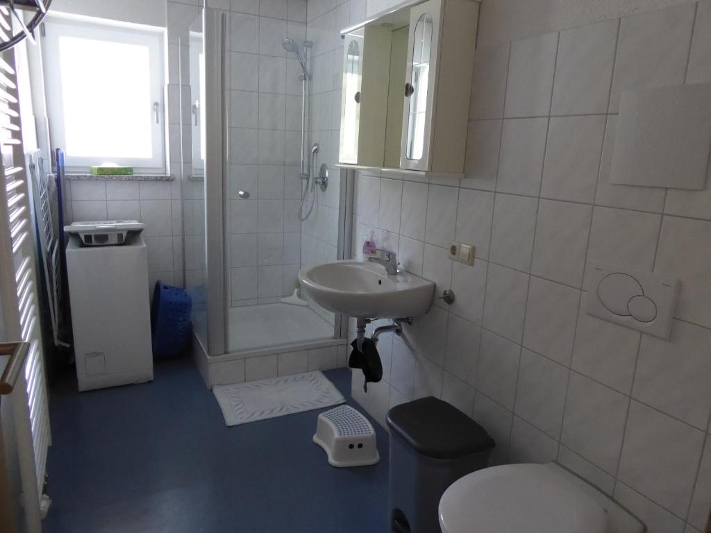 a bathroom with a sink and a shower and a toilet at Bauernhof Dieing in Isny im Allgäu