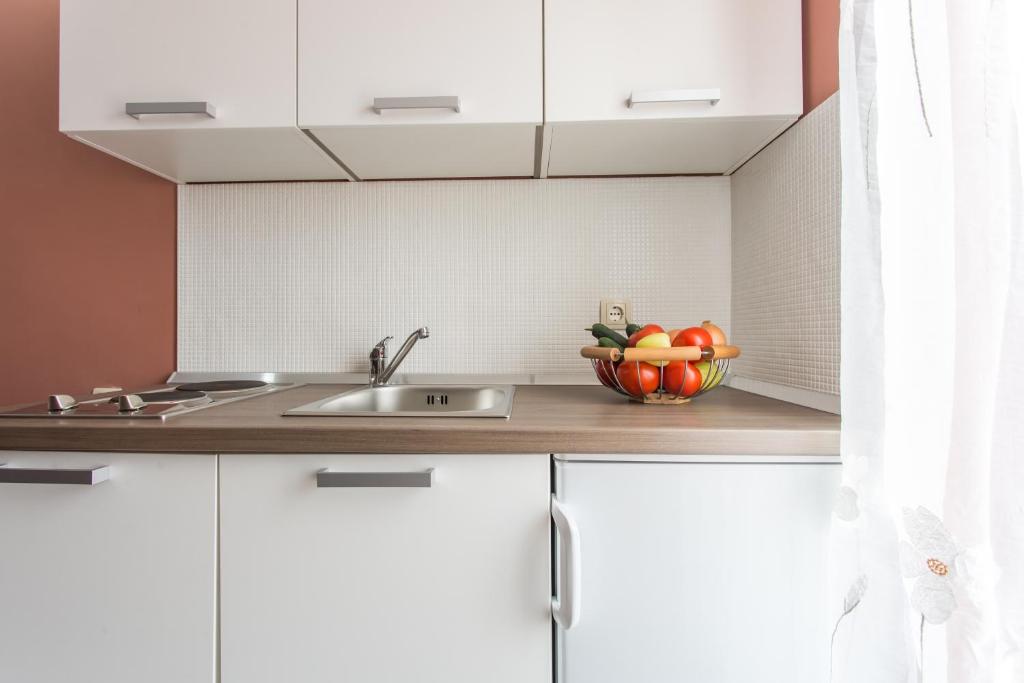 Kuchyň nebo kuchyňský kout v ubytování Apartments TB