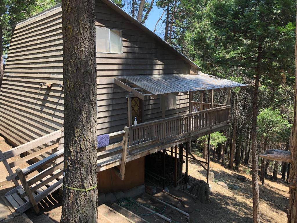 a cabin in the woods with a tree at Sequoia National Forest CabinK in Panorama Heights