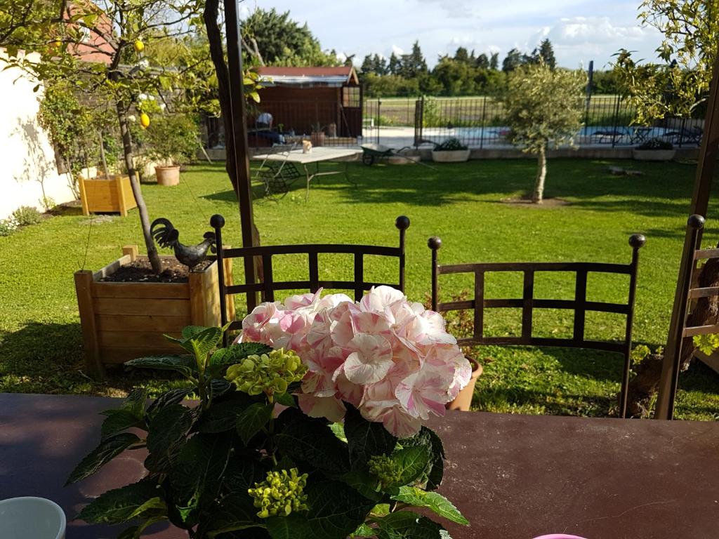 un jarrón de flores rosas sentado en una mesa en fleur de garance, en Le Thor