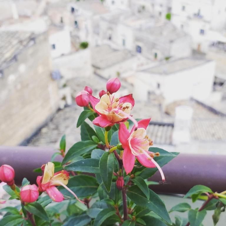 Fotografie z fotogalerie ubytování Sole di Paglia v destinaci Matera