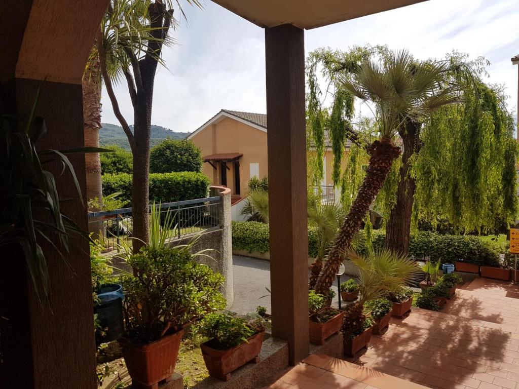 einen Innenhof mit Palmen und Pflanzen in der Unterkunft Residence La Meridiana in San Bartolomeo al Mare