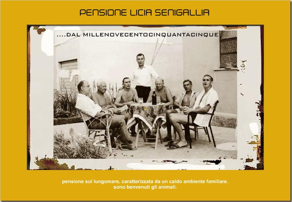 Hosté ubytování pensione licia