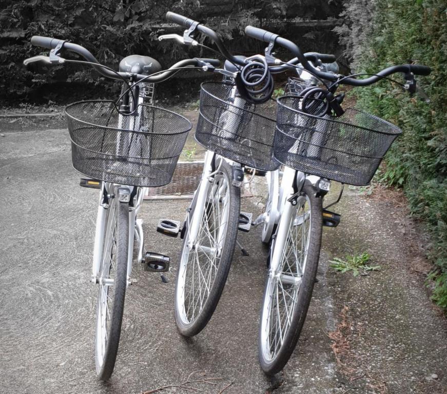 dwa rowery zaparkowane obok siebie z koszami w obiekcie B&B Al Parco w Weronie