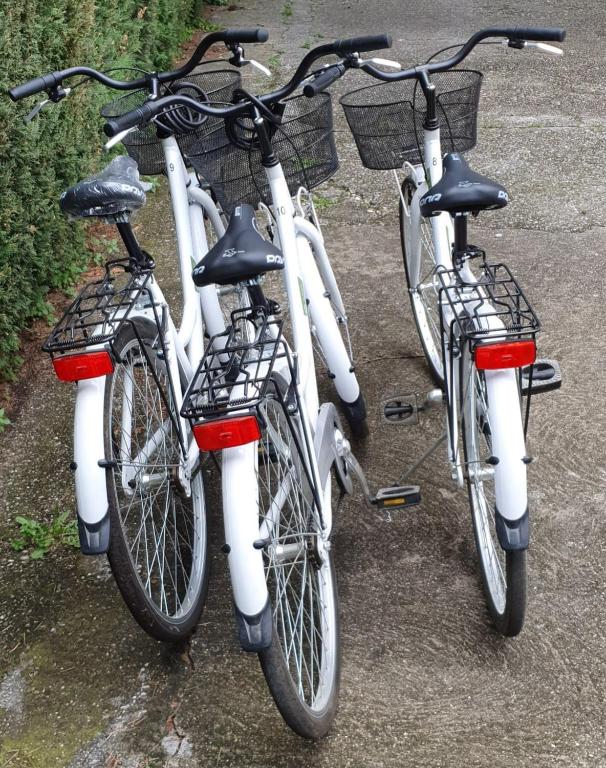 Rowery dostępne w obiekcie B&B Al Parco lub w pobliżu