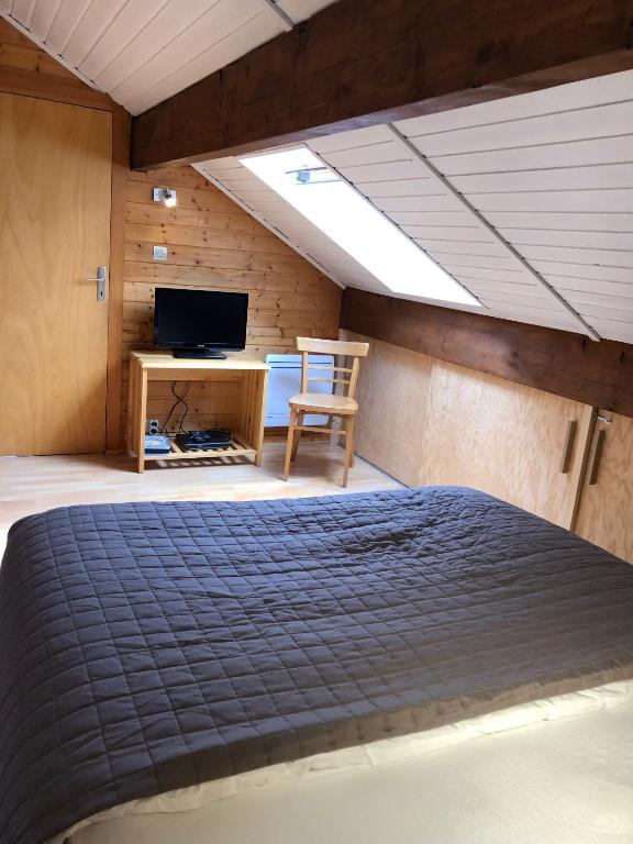 TV a/nebo společenská místnost v ubytování Chalet LE TREMPLIN - wifi, BBQ, parking