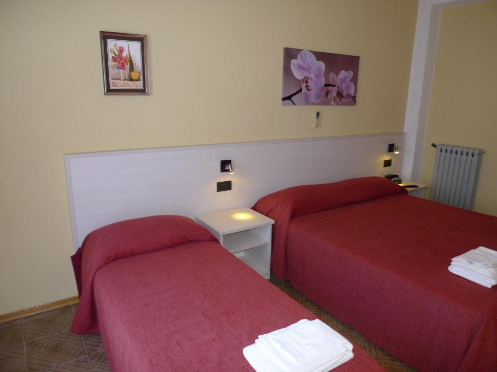 Postel nebo postele na pokoji v ubytování Hotel Alexander