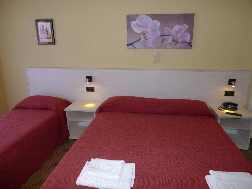 Postel nebo postele na pokoji v ubytování Hotel Alexander