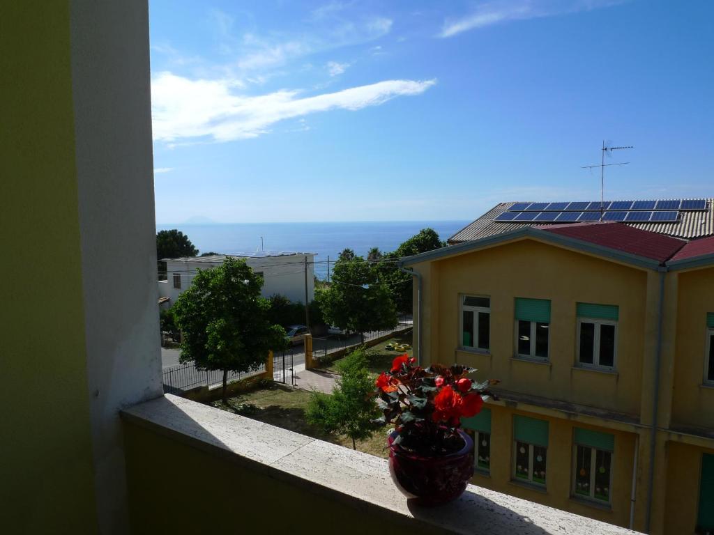 Příroda nedaleko hotelu