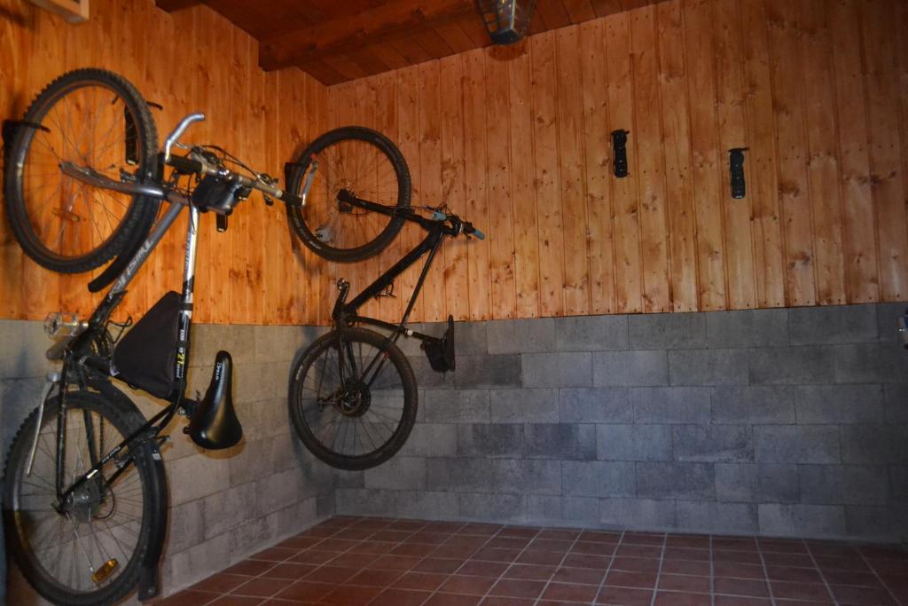 Jízda na kole v ubytování Apartmány Nad řekou nebo okolí