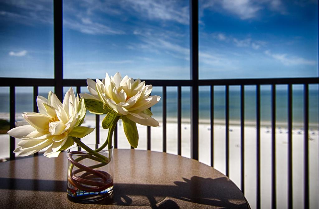 Pointe Estero Resort photo