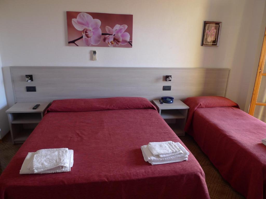 Postel nebo postele na pokoji v ubytování Hotel Alexander