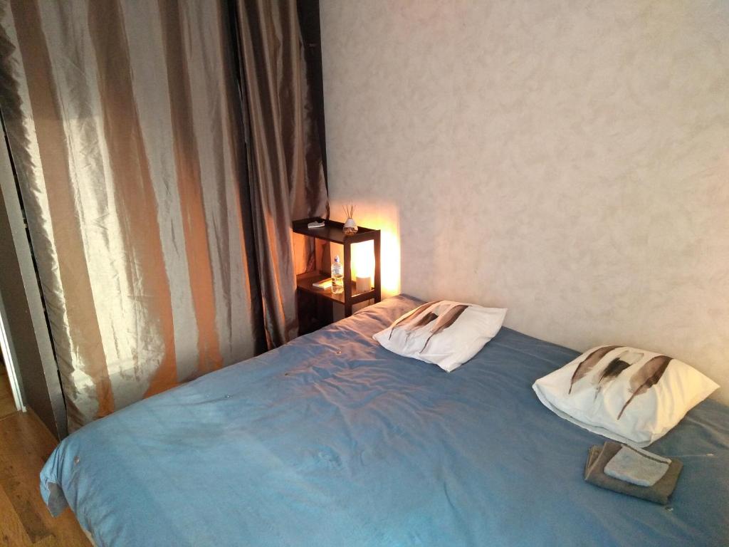 a bedroom with a blue bed with two pillows at La Boisselle, chez l'habitant in Saint-Germain-lès-Arpajon