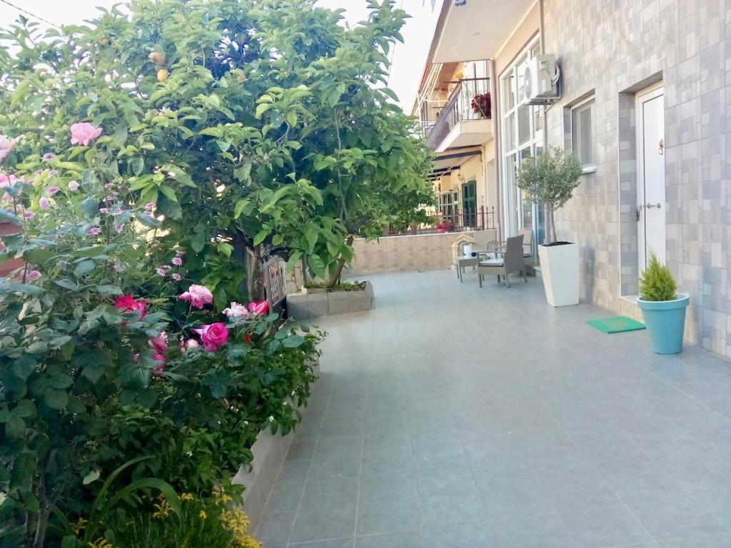 Vonkajšia záhrada v ubytovaní Vonitsa Loft Apartment 1