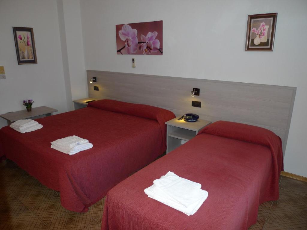 Postel nebo postele na pokoji v ubytování Hotel Alexander